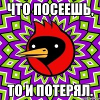 что посеешь, то и потерял.