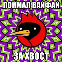 поймал вайфай за хвост