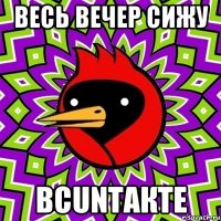 весь вечер сижу вcuntакте
