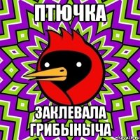 птючка заклевала грибыныча