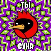 ты сука