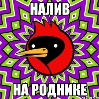 налив на роднике