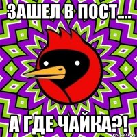 зашел в пост.... а где чайка?!