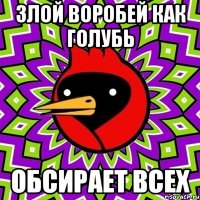 злой воробей как голубь обсирает всех