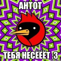 антот тебя несёёёт :3