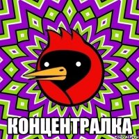  концентралка