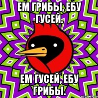 ем грибы, ебу гусей. ем гусей, ебу грибы.