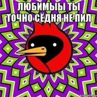 любимыы ты точно сёдня не пил 