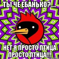 ты че ебанько?.... нет я просто птица просто птица!!!