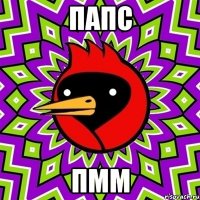 папс пмм
