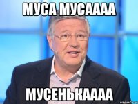 муса мусаааа мусенькаааа