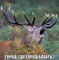  город, где город блеать?