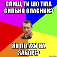 слиш, ти шо тіпа сильно опасний? як пітухи на заборі?