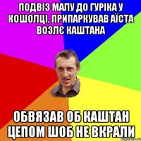 подвіз малу до гуріка у кошолці, припаркував аїста возлє каштана обвязав об каштан цепом шоб не вкрали