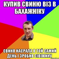 купив свиню віз в бахажніку свиня насрала в той самий день і зробив сівіжину