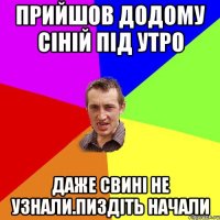 прийшов додому сiнiй пiд утро даже свинi не узнали.пиздiть начали