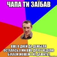 чапа ти заїбав вже 8 дней да дембеля осталась,а ми вже другу неділю бухаем.можем і не дажить!