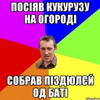 посіяв кукурузу на огороді собрав піздюлєй од баті