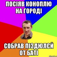 посіяв коноплю на городі собрав піздюлєй от баті