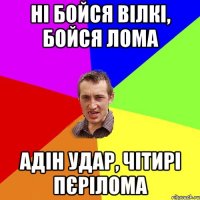 ні бойся вілкі, бойся лома адін удар, чітирі пєрілома