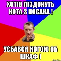 хотів піздонуть кота з носака ! уєбався ногою об шкаф !