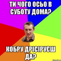 ти чого осьо в суботу дома? кобру дрісіруєш да?