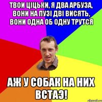 твои цiцьки, я два арбуза, вони на пузi двi висять, вони одна об одну трутся аж у собак на них встаэ!