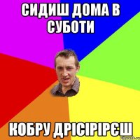 сидиш дома в суботи кобру дрісірірєш