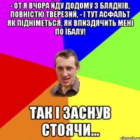 - от я вчора йду додому з блядків, повністю тверезий, - і тут асфальт як підніметься, як впиздячить мені по їбалу! так і заснув стоячи...