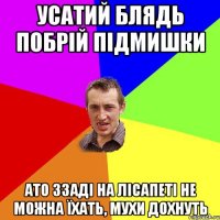 усатий блядь побрій підмишки ато ззаді на лісапеті не можна їхать, мухи дохнуть