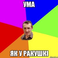 ума як у ракушкi