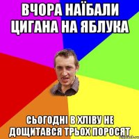 вчора наїбали цигана на яблука сьогодні в хліву не дощитався трьох поросят