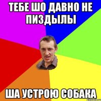 тебе шо давно не пиздылы ша устрою собака