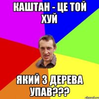 каштан - це той хуй який з дерева упав???