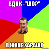 едіік -"шо?" в жопе харашо