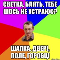 светка, блять, тебе шось не устраює? шапка, двері, поле, горобці