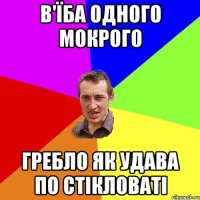 в'їба одного мокрого гребло як удава по стікловаті