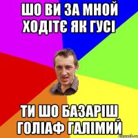 шо ви за мной ходітє як гусі ти шо базаріш голіаф галімий