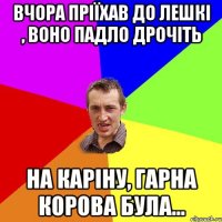 вчора пріїхав до лешкі , воно падло дрочіть на каріну, гарна корова була...