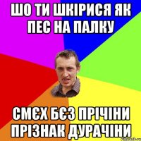 шо ти шкірися як пес на палку смєх бєз прічіни прізнак дурачіни