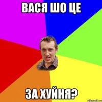 вася шо це за хуйня?