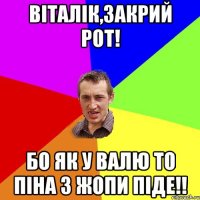 віталік,закрий рот! бо як у валю то піна з жопи піде!!