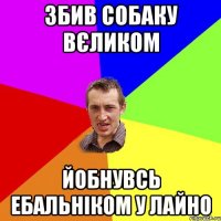 збив собаку вєликом йобнувсь ебальніком у лайно