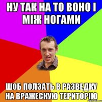 ну так на то воно і між ногами шоб ползать в разведку на вражескую територію