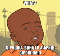 what? сірошка, вона і в африці сірошка!!!)