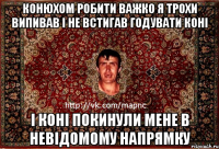 конюхом робити важко я трохи випивав і не встигав годувати коні і коні покинули мене в невідомому напрямку