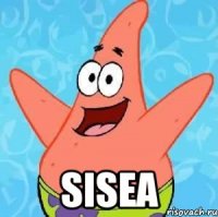  sisea