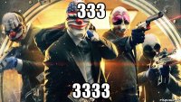 333 3333