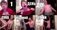 1 день до сука гребанной армии