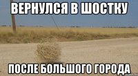 вернулся в шостку после большого города